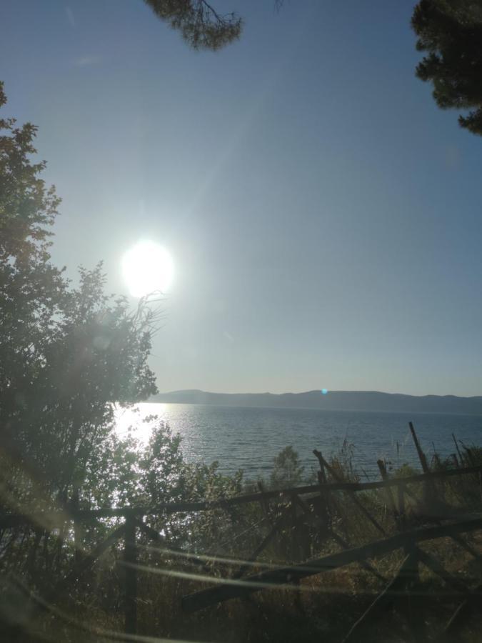 Civico 37 Βίλα Trevignano Romano Εξωτερικό φωτογραφία